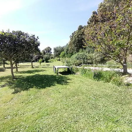 Semesterbostad Hacienda, Villat4 De 110m2 Proche De St Florent Patrimonio